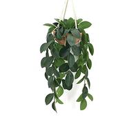 Hisow Hanging Plants Artificial Decor, Fake Hanging Plant in Clay Pot Artificial Hanging Plants with Fake Leaves and Hook for Wall Home Room Indoor Outdoor Décor (Dark Green)