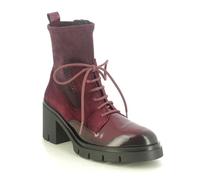 Hispanitas Zurich Lace Zip Wine patent Womens ankle boots HI254281-C002