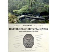 HISTOIRE DES FORETS FRANCAISES: DE LA GAULLE CHEVELUE À NOS JOURS