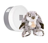 Histoire d'Ours Plush Bunny Marius