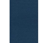 Historical Dynamics - Why States Rise and Fall: 8 (Princeton Studies in Complexity)