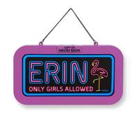 History & Heraldry Light Up Neon Name Sign - Erin