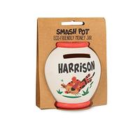 History & Heraldry Personalised Bamboo Smash Pot Money box (Harrison)