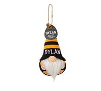 History & Heraldry Personalised Lucky Gonk (Dylan)