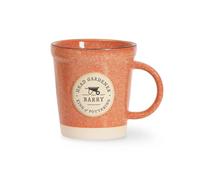 History & Heraldry Personalised Mug - Unique Ceramic Plant-Pot Style Mug - Gift for Gardeners, or Office Decor (Barry)
