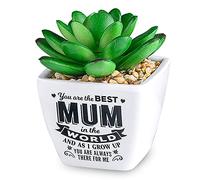 History & Heraldry Personalised Sentiment Succulents - Best Mum