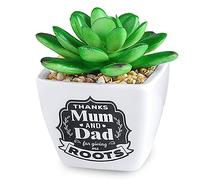 History & Heraldry Personalised Sentiment Succulents - Mum & Dad