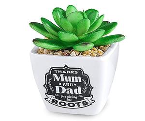 History & Heraldry Personalised Sentiment Succulents - Mum & Dad