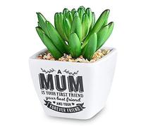 History & Heraldry Personalised Sentiment Succulents - Mum Friend