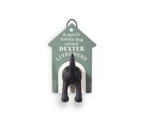 History & Heraldry Pre Personalised Dog Lead Hook Dexter