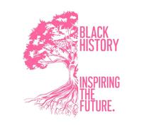 History Inspiring The Future Vinyl Wall Stickers 42x46cm Multi Color Selection Pink
