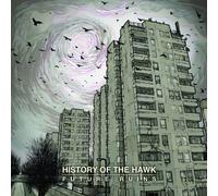 History Of The Hawk - Future Ruins