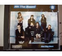 Hit the Boom - One Day Soon