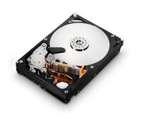 1TB SATAII 32MB