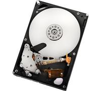 Hitachi Ultrastar A7K2000 - Disco duro - 1 TB - interno - 3.5" - SATA-300 - 7200 rpm - b