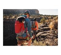 Hitch Hiker™ Dog Backpack Carrier - Red Clay - Small
