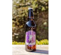 Hitchcox Colonel Plums Premium Damson & Plum Cider, 500ml Bottles, Pack of 12