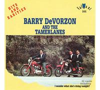 Barry & the Tamerlanes - Hits & Rarities in Stereo