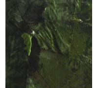 Hive Mind - Death Tone