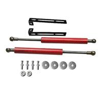 Hivernoi Automotive hydraulic rods For Citroen DS3 2009-2016 Modify Gas Spring Front Bonnet Carbon for Fiber Struts Lift Support Damper(Red carbon fiber)