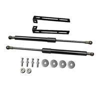 Hivernoi Automotive hydraulic rods For Citroen DS3 2009-2016 Modify Gas Spring Front Bonnet Carbon for Fiber Struts Lift Support Damper(Normal black)
