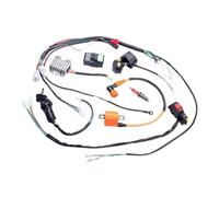 Hivernoi Motorbike parts cdi Complete Electrics Wiring Harness Spark CDI Ignition Coil Kits For 150cc