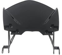 Hivernoi Motorbike Wind Deflector Motorcycle Windshield ABS Fairing Wind Deflector for BMW G310R 2017 2018 2019 2020 2021(Black)