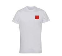HiViz Kings British Army Infantry Performance T-Shirt, Men's, Military Print (UK, Alpha, L, Regular, Regular, White)