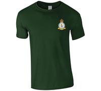 HiViz Kings Embroidered RAF 101 Squadron Men's Tshirt Royal Air Force Insignia MOD Embroidery ** 9 Colours Available ** (UK, Alpha, XXL, Regular, Regular, Green)