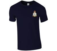 HiViz Kings Embroidered RAF 101 Squadron Men's Tshirt Royal Air Force Insignia MOD Embroidery ** 9 Colours Available ** (UK, Alpha, M, Regular, Regular, Navy)