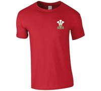 HiViz Kings Embroidered Royal Welsh Insignia Men's Tshirt British Army Insignia MOD Embroidery ** 9 Colours Available ** (UK, Alpha, XXL, Regular, Regular, Red)