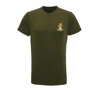 HiViz Kings Yorkshire Regiment British Army Performance T-Shirt, Men's (UK, Alpha, XL, Regular, Regular, Olive)
