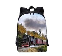 Hixingo Backpack for School Kids, Lightweight School Bags for Boys and Secondary Double Layer Capacity Rucksack for Children Primary School Bag (16inch,Train)
