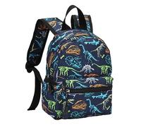 Hixingo Backpack for School Kids, Lightweight School Bags for Girls Boys and Secondary Large Capacity Rucksack for Children Primary School Bag (13 inch,Dinosaurs)