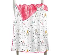 Hixingo Comfort Blanket for Kids Baby, Animal Printed Double Layer Throw, Sensory Soft Minky Dot Reverse Side Plush, Blanket Bedding for Children Boys Girls (puppy 2,73x102cm)