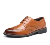 Hixingo Dress Shoes for Men Size 7-12, Brock Mens Oxford Formal Dress Shoes Business Classic Breathable Loafers Casual Driving Sneakers Comfort Leather Fashion Walking for All Day Wear (Brown,11)