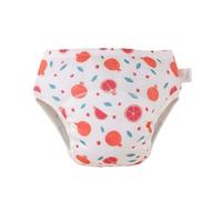Hixingo Toddler Potty Training Pants Girls Boys, Reusable Toilet Training Pants for 1-6 Years Children Reusable Underwear Children Fruit Print 2 Pack Absorbent Underwear (Pomegranate A,M)