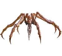 Hiyatoys Exquisite Basic Series None Scale 7 Inch Godzilla x Kong The New Empire Scylla