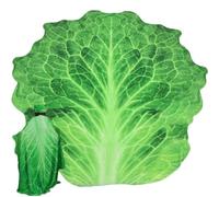 HiyyFloy Lettuce Blanket Soft Flannel Lettuce Throw Blanket Realistic Funny Food Blanket for Sofa Chair Bed Novelty Food Wrap Blanket for Adults