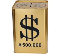 HiyyFloy Metal Piggy Bank Gold Large Money Boxes Children's Saving Coin Money Box Coin Saving Pot for Kids Adult