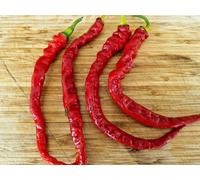 Hj5 Helix Nebula Space Chilli Seeds - 10 Fresh Seeds