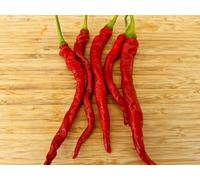 Hj7 Super Nova Space Chilli Seeds - 10 Fresh Seeds