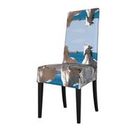 HJFCZH Beach White Horse Prints Dining Chair Throw Covers - Stretchable Slipcovers for Chair Seat Back - Protect Furniture from Kids & Pets - Easy Care, No Ironing Needed