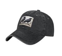HJFCZH Black Aldult Denim Baseball Cap Cartoon Black Ravens Printed Adjustable Cotton Hat for Men and Women, Black, One Size