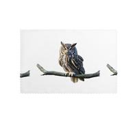 HJFCZH Climbing Owl Picture Placemats for Dining Table Set of 6 for Homes, and Banquets Easy to Clean at Room Temperature for Long-Lasting Use