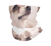 HJFCZH Cute Chihuahua Prints Multifunctional Sport Headband - Seamless Stretchable Neck Warmer for Running, Hiking, Cycling & Beach Fun - Soft, Quick-Dry, Versatile Headwear