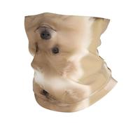 HJFCZH Cute Pomeranian dog Prints Multifunctional Sports Headband - Seamless Athletic Throw for Running, Hiking, Biking & Outdoor Adventures - Soft, Breathable, Quick-Dry