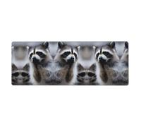 HJFCZH Cute Raccoon Mouse Pad 12x31.5in Extended Desk Throw