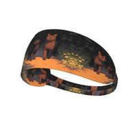 HJFCZH Elastic Exercise Headband - Sweat-Absorbing Sports Throw | for Running Yoga & More Cat Out of The Shadows Printing
