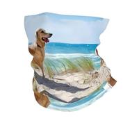 HJFCZH Golden Retriever Prints Multi-Function Sport Throw - Seamless, Breathable, Quick-Dry Headwear for Hiking, Biking & Outdoor Adventures